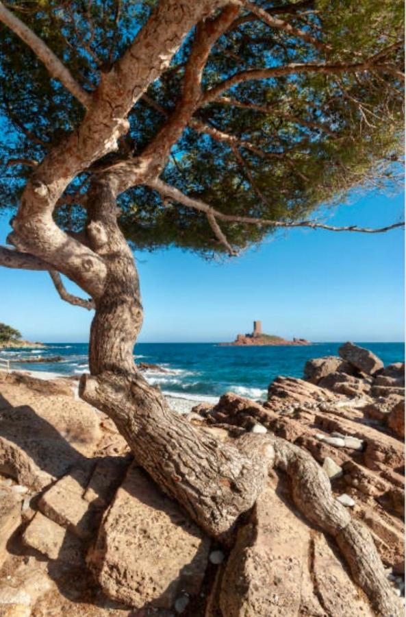 Le Semaphore Saint-Raphaël Eksteriør bilde